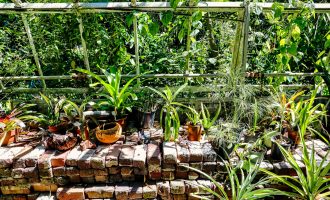 Brick-Base Greenhouses: What You Need To Know